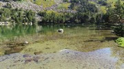 Image flottante
